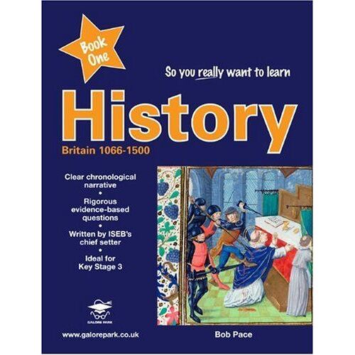 So You Really Want To Learn History Book 1