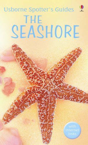 Seashore