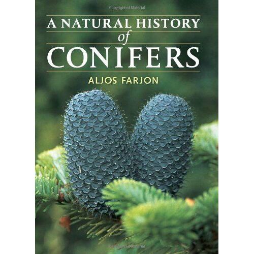 Natural History Of Conifers