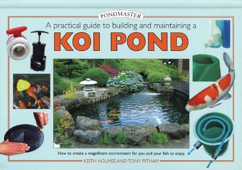 Creating A Koi Pond
