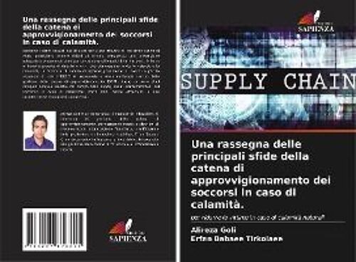 Una Rassegna Delle Principali Sfide Della Catena Di Approvvigionamento Dei Soccorsi In Caso Di Calamità.