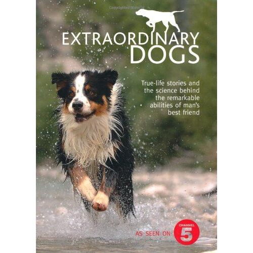 Wilhide, E: Extraordinary Dogs
