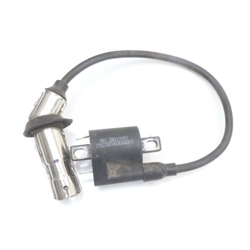 Bobine Longjia Easy Max 125 2020 - 2024 / 191952