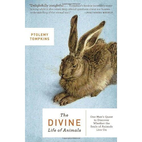 The Divine Life Of Animals