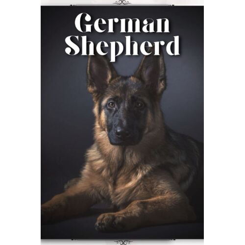 German Shepherd: Dog Breed Guide