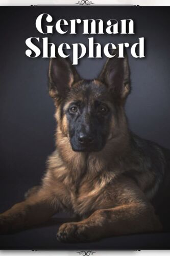 German Shepherd: Dog Breed Guide