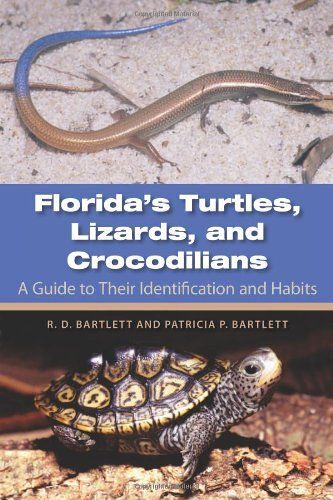Florida's Turtles, Lizards, And Crocodilians