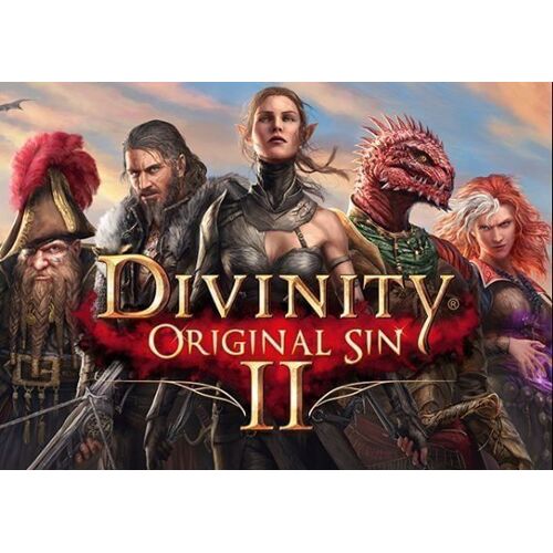 Divinity: Original Sin 2 Divine Edition (PC) Steam Account - GLOBAL