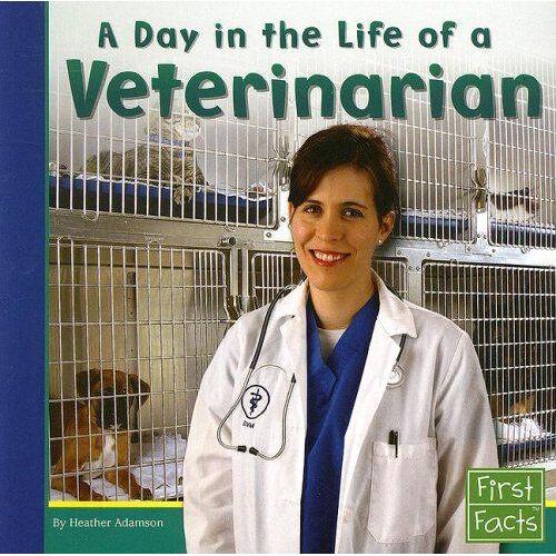 A Day In The Life Of A Veterinarian