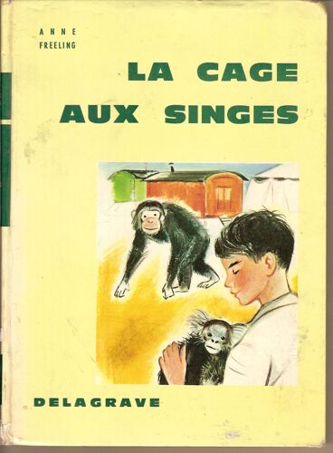 La Cage Aux Singes