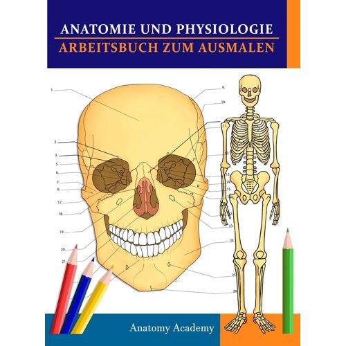 Anatomie Und Physiologie Arbeitsbuch Zum Ausmalen