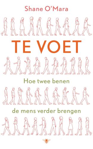 Te Voet: Hoe Twee Benen De Mens Verder Brengen