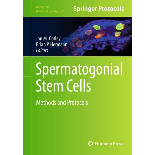 Spermatogonial Stem Cells