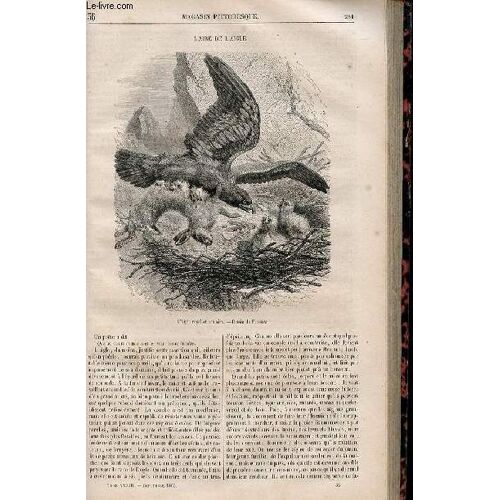 Le Magasin Pittoresque - Livraison N°036 - L'aire De L'aigle.