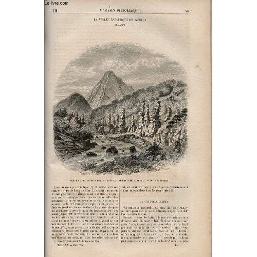 Le Magasin Pittoresque - Livraison N°010 - La Vallée Basaltique De Wonoga Au Japon.