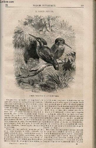 Le Magasin Pittoresque - Livraison N°028 - Le Martin - Pêcheur.