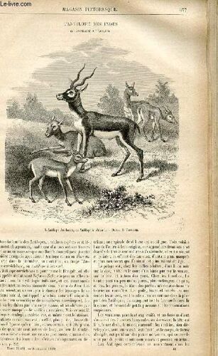 Le Magasin Pittoresque - Livraison N°48 - L'antilope Des Indes Ou Antilope À Bézoard.