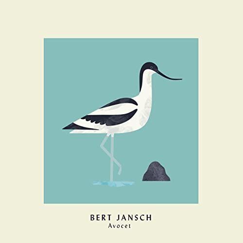 Avocet [Vinyl]