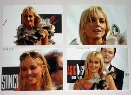 Lot De 4 Photos  Sharon Stone Pour La Promotion Du Film  Basic Instinct 2 Format 10x15cm