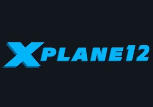 X-Plane 12 (PC) Steam Account - GLOBAL