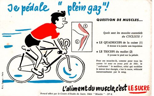 Buvard/Le Sucre/Série Les Muscles