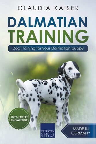 Dalmatian Training - Dog Training For Your Dalmatian Puppy