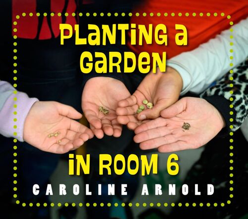 Planting A Garden In Room 6