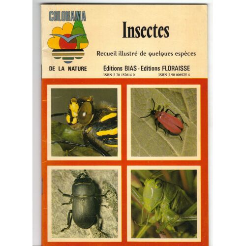 Insectes, Recueil Illustré De Quelques Espèces