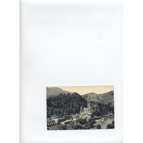 Lourdes La Basilique Et Le Gave