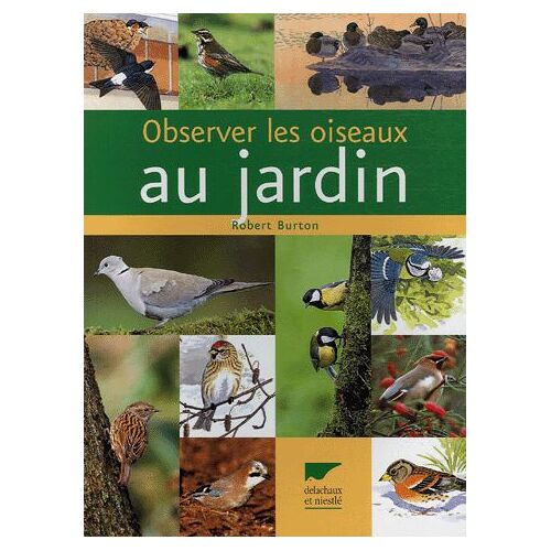 Observer Les Oiseaux Au Jardin