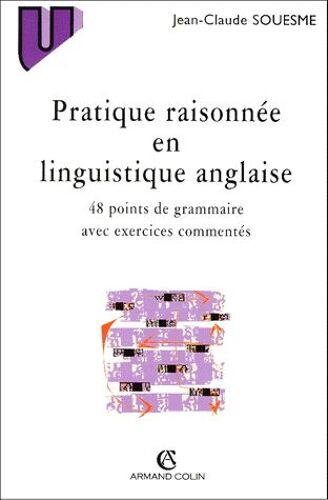 Pratique Raisonnee En Linguistique Anglaise - 48 Points De Grammaire Avec Exercices Commentés