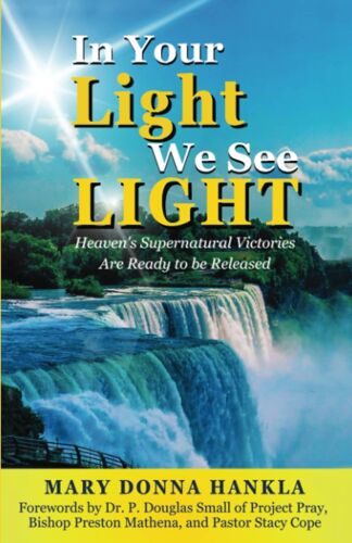 In Your Light We See Light