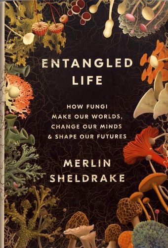 Entangled Life
