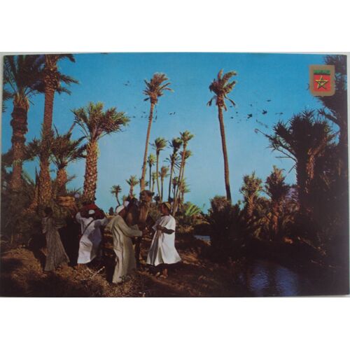 Maroc.. Coll. Maroc Typique N°43 . Chameaux Dans Un Oasis, Au Verso 2 Timbres 1.00 Hassan I I 1982 Et 0.60 Hassan I I 1981. Cachet Marrakech