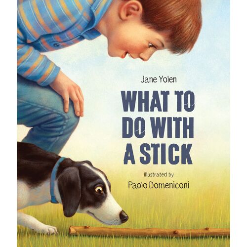 What To Do With A Stick