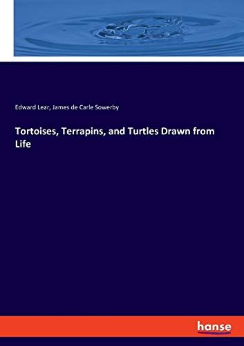 Tortoises, Terrapins, And Turtles Drawn From Life