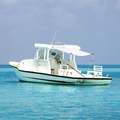 Vidaxl Extension D'ombrage T-Top Blanc 174x205x(115-194) Cm