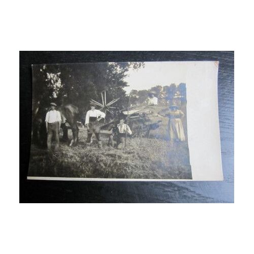Photo Formatée En Carte Postale (13,5 X 8 Cm) "Les Foins" (Début Du Siècle Dernier)