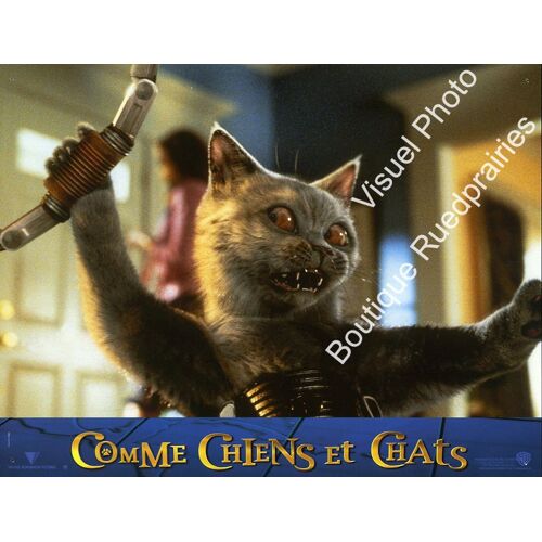 Comme Chiens Et Chats - Cats & Dogs : Jeu De Photos D'exploitation Cinématographique - Format 21x27,5 Cm - De Lawrence Guterman Avec Jeff Goldblum, Tobey Maguire, Elizabeth Perkins - 2001