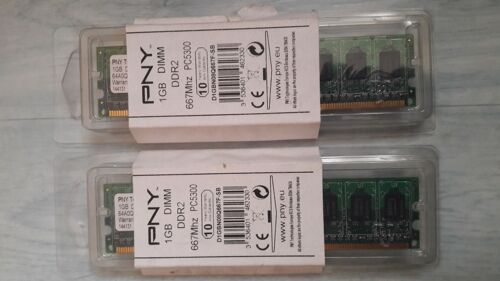 Mémoire - 1 Go - DDR2 - PC5300 - 667 MHz - DIMM 240 broches