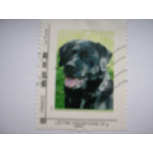 Timbre Collector   :Le Chien