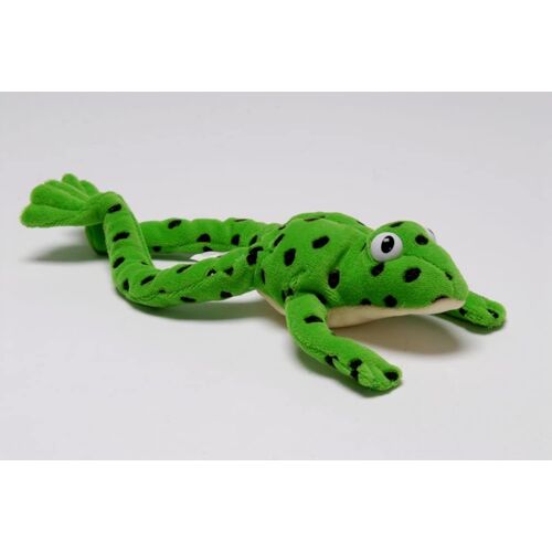 Read Write Inc.: Fred The Frog - Toy (Pack Of 10)