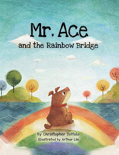 Mr. Ace And The Rainbow Bridge