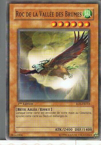 Roc De La Vallée Des Brumes - Yu-Gi-Oh! - Rds-Fr015 - C