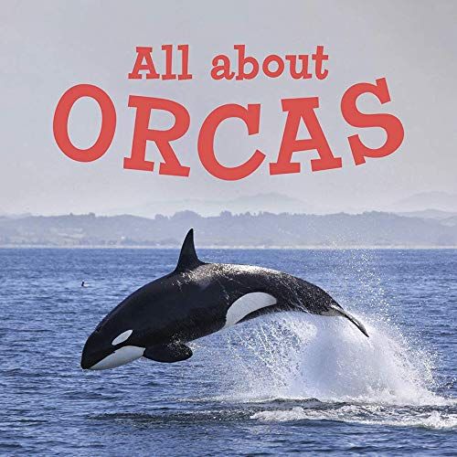 All About Orcas