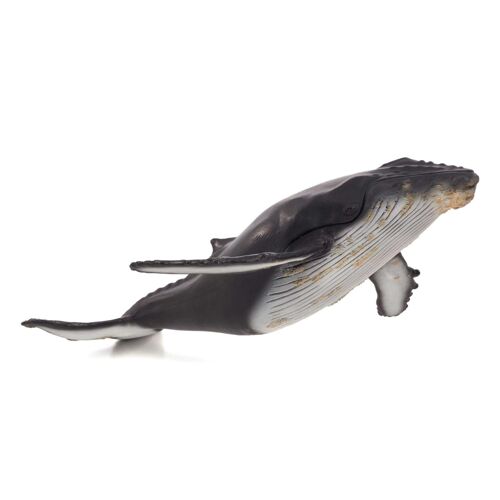 Mojo Humpback Whale Large Toy Figure