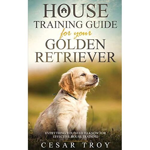 House Training Guide For Your Golder Retriever