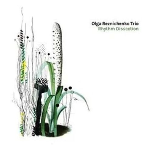 Rhythm Dissection [Vinyl]