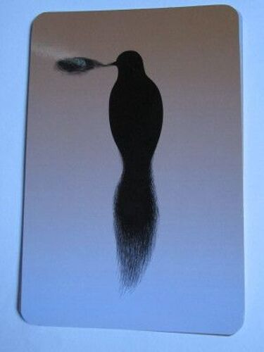 Carte Postale : Du Poil À La Plume .... Dessins (Projet Pédagogique En Partenariat Avec Le Muséum)