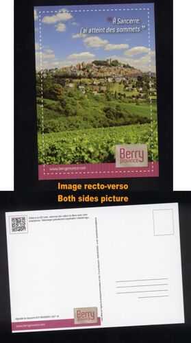 Carte Postale Postcard Berry Province À Sancerre J'ai Atteint Des Sommets Vignoble De Sancerre France